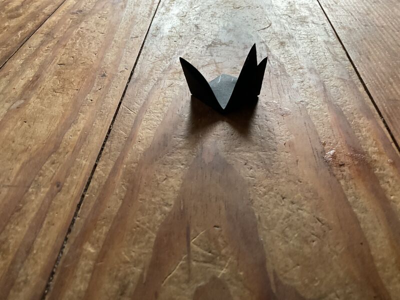 File:Black normal.jpeg